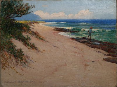 Spiaggia di Mokuleia da D. Howard Hitchcock